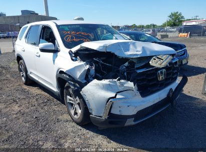 Lot #2992827881 2023 HONDA PILOT AWD EX-L 7 PASSENGER