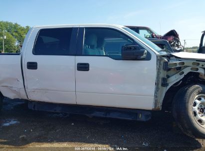 Lot #3021953536 2013 FORD F-150 XL