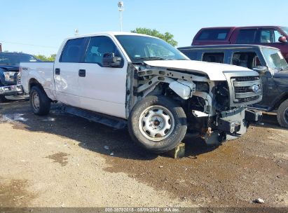 Lot #3021953536 2013 FORD F-150 XL