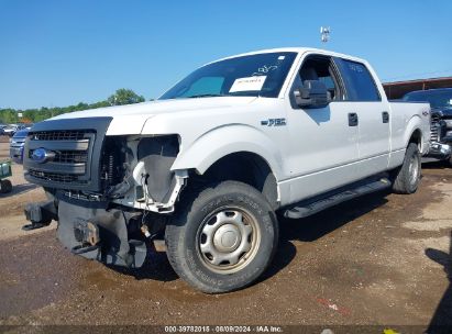 Lot #3021953536 2013 FORD F-150 XL