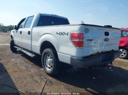 Lot #3021953536 2013 FORD F-150 XL