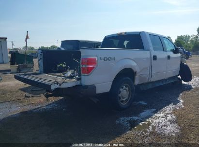 Lot #3021953536 2013 FORD F-150 XL