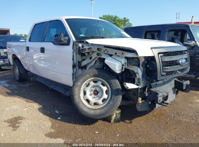 Lot #3021953536 2013 FORD F-150 XL