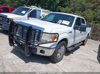 Lot #2989127391 2010 FORD F-150 FX2 SPORT/HARLEY-DAVIDSON/KING RANCH/LARIAT/PLATINUM/XL/XLT