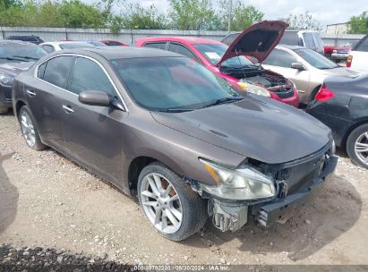 Lot #3054262391 2014 NISSAN MAXIMA 3.5 S/3.5 SV