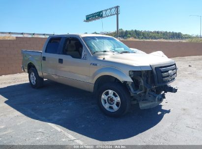 Lot #3032780957 2011 FORD F-150 XLT