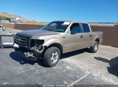 Lot #3032780957 2011 FORD F-150 XLT