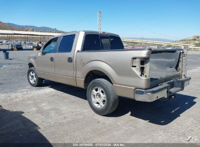 Lot #3032780957 2011 FORD F-150 XLT