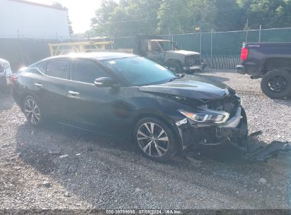 Lot #3035078900 2016 NISSAN MAXIMA 3.5 PLATINUM