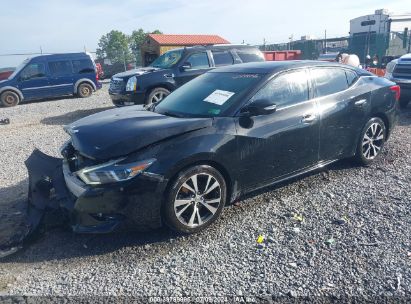 Lot #3035078900 2016 NISSAN MAXIMA 3.5 PLATINUM