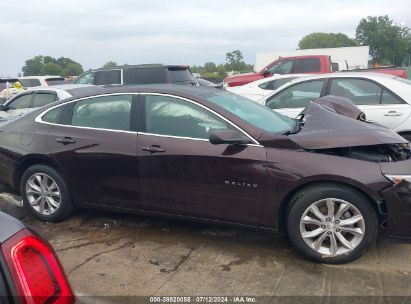 Lot #2995287131 2020 CHEVROLET MALIBU FWD LT