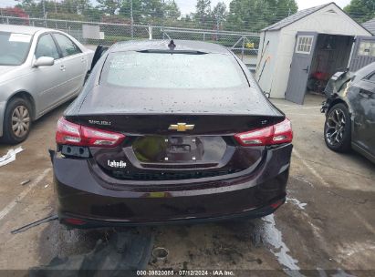 Lot #2995287131 2020 CHEVROLET MALIBU FWD LT