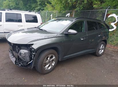 Lot #2997779386 2023 HYUNDAI TUCSON SEL