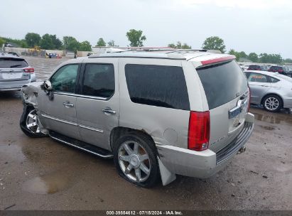 Lot #2997779377 2007 CADILLAC ESCALADE STANDARD