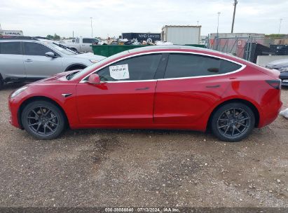 Lot #3035088592 2019 TESLA MODEL 3 LONG RANGE/MID RANGE/STANDARD RANGE/STANDARD RANGE PLUS