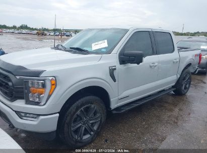 Lot #2992834244 2023 FORD F-150 XLT