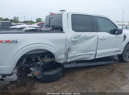 Lot #2992834244 2023 FORD F-150 XLT