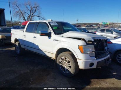 Lot #3035088565 2009 FORD F-150 FX4/LARIAT/XL/XLT