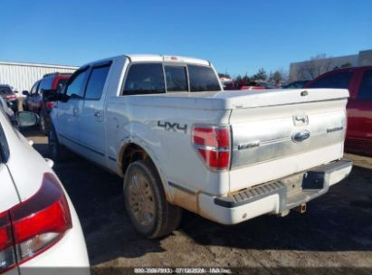 Lot #3035088565 2009 FORD F-150 FX4/LARIAT/XL/XLT