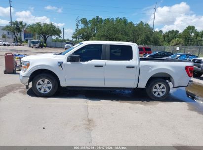 Lot #3021953359 2021 FORD F-150 XLT