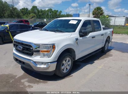 Lot #3021953359 2021 FORD F-150 XLT