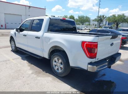 Lot #3021953359 2021 FORD F-150 XLT