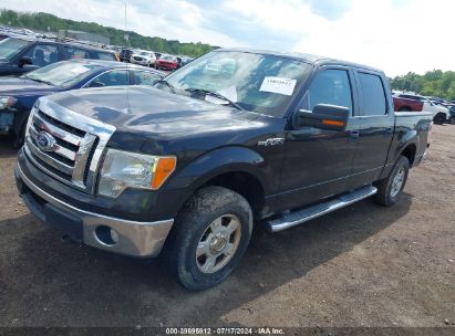 Lot #3061650722 2010 FORD F-150 XL/XLT