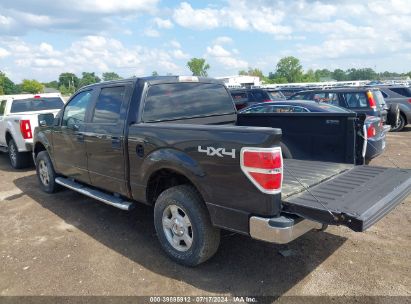 Lot #3061650722 2010 FORD F-150 XL/XLT