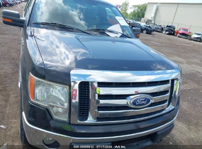 Lot #3061650722 2010 FORD F-150 XL/XLT