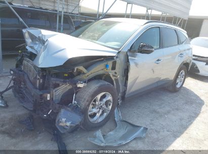 Lot #2992831252 2022 HYUNDAI TUCSON SEL