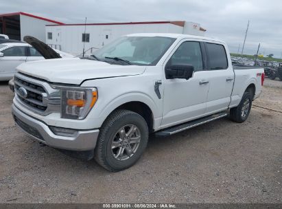 Lot #2976911530 2022 FORD F-150 XLT