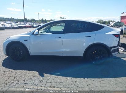 Lot #2992815376 2023 TESLA MODEL Y AWD/LONG RANGE DUAL MOTOR ALL-WHEEL DRIVE