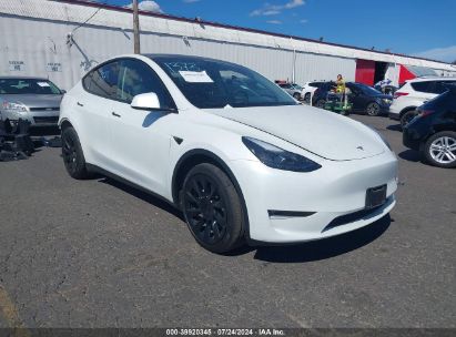 Lot #2992815376 2023 TESLA MODEL Y AWD/LONG RANGE DUAL MOTOR ALL-WHEEL DRIVE