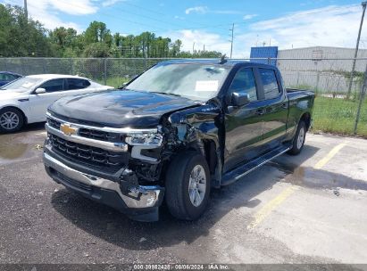 Lot #3047412110 2024 CHEVROLET SILVERADO 1500 2WD  STANDARD BED LT