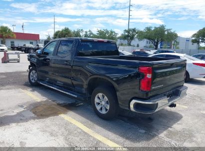 Lot #3047412110 2024 CHEVROLET SILVERADO 1500 2WD  STANDARD BED LT