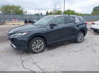 Lot #2992830981 2021 TOYOTA VENZA XLE