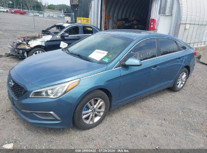 Lot #3035078834 2017 HYUNDAI SONATA