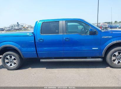 Lot #2992830963 2013 FORD F-150 FX4