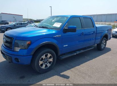 Lot #2992830963 2013 FORD F-150 FX4