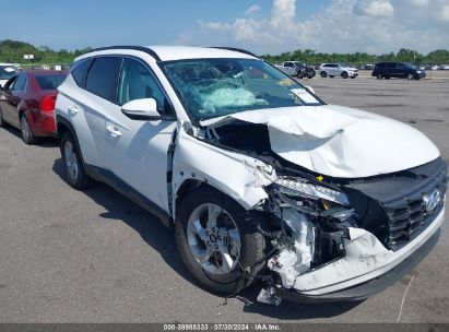 Lot #2992830956 2023 HYUNDAI TUCSON SEL