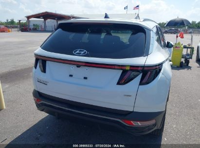 Lot #2992830956 2023 HYUNDAI TUCSON SEL