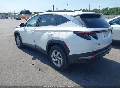 Lot #2992830956 2023 HYUNDAI TUCSON SEL