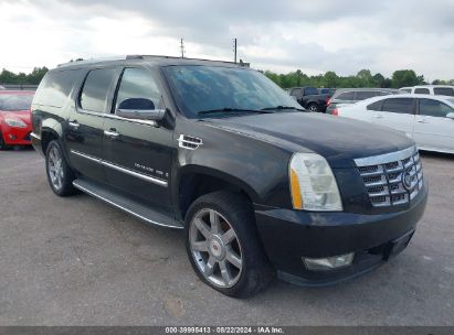 Lot #3001577092 2009 CADILLAC ESCALADE ESV STANDARD