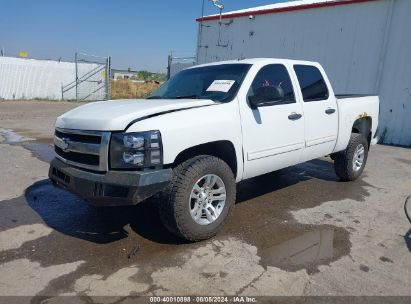 Lot #3050071250 2009 CHEVROLET SILVERADO 1500 LT