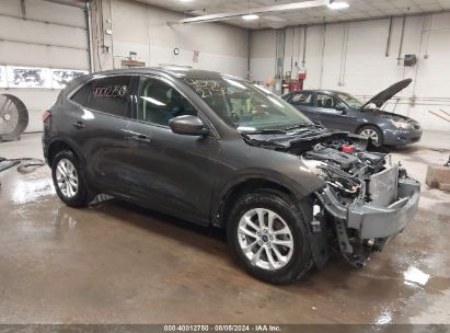 Lot #2992827963 2020 FORD ESCAPE SE