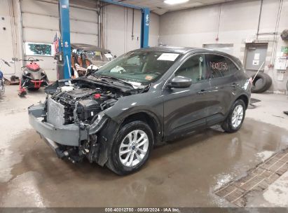 Lot #2992827963 2020 FORD ESCAPE SE