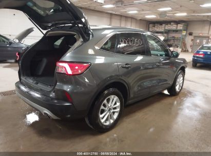 Lot #2992827963 2020 FORD ESCAPE SE