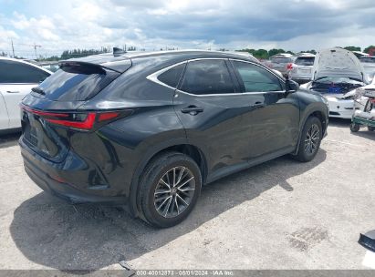 Lot #3010272438 2022 LEXUS NX 250 PREMIUM