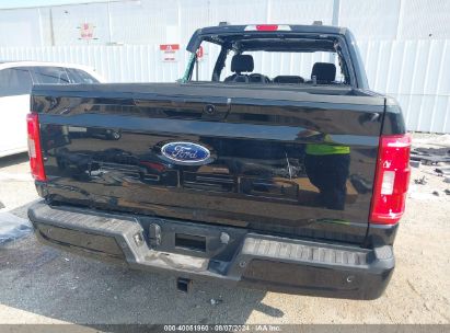 Lot #3035088090 2023 FORD F-150 XLT