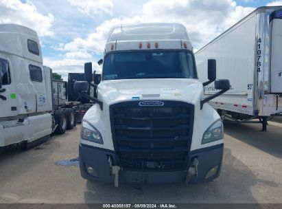 Lot #2992830860 2019 FREIGHTLINER NEW CASCADIA 126